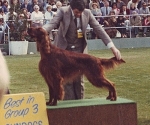 FAMILY1982RoyalMontana_thumb