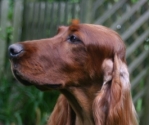 rita-profile-head