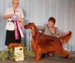 This is Robert Taylor .... winning Best In Show