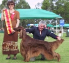 Aust Grand Ch/Am/Can Ch Eireannmada Fortuitous ~ Roddy