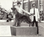 ty1980royalcropped_thumb1