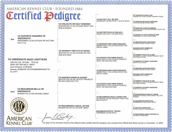 cropped Keegans Certified Pedigree