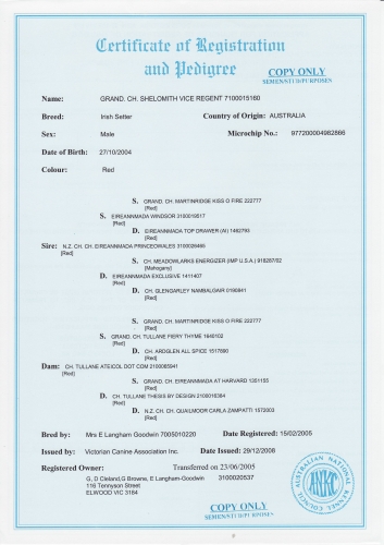 gr-ch-shelomith-vice-regent-cert0001.JPG