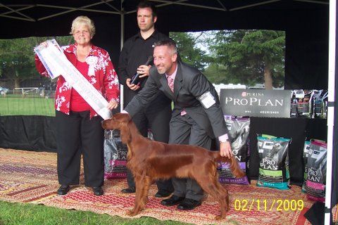 Minor puppy in Show