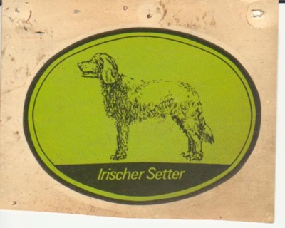 irish setter sticker