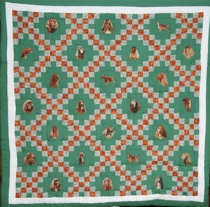 front view of ISCWNY held up quilt