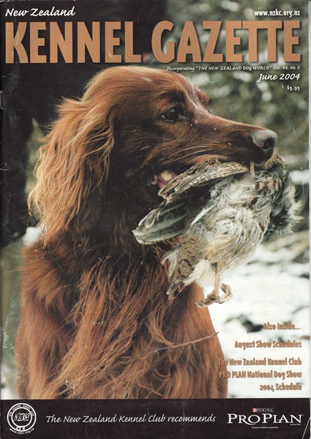 IRISH SETTER COVER