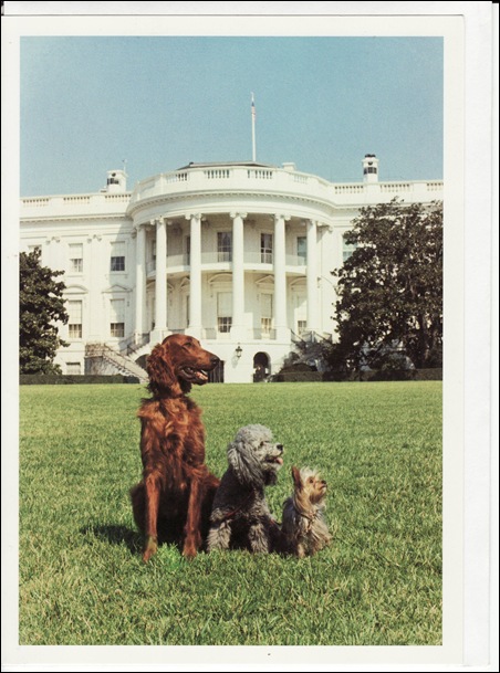 Nixon's dogs