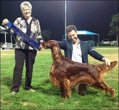 RHIANNON ONE FOR THE MONEY CLASSIC DOG SHOW
