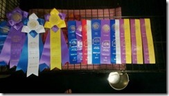 tebows winning ribbons