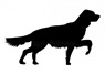 depositphotos_4115196-stock-illustration-vector-silhouette-of-the-setter