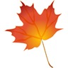 maple-leaf-clip-art-free-5